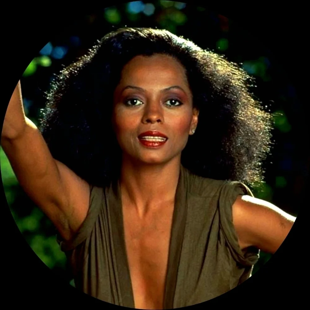 Diana Ross Photo Magnet Set The Supremes